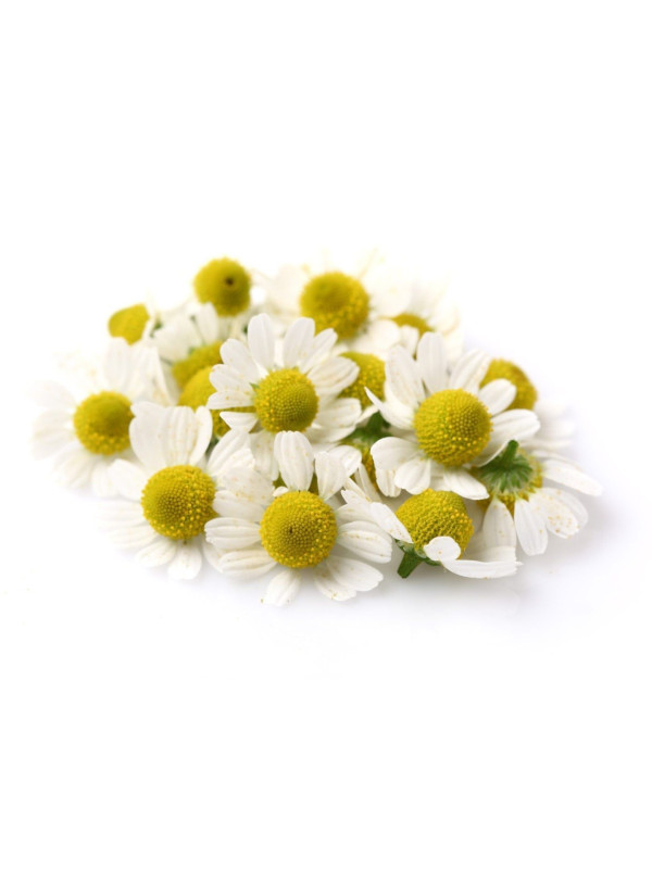 Rosveda Essential Oil Chamomile Roman