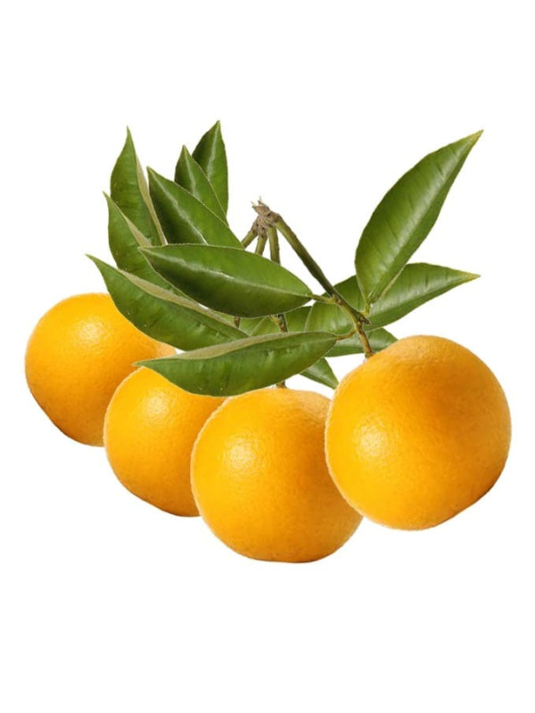 Rosveda Essential Oil Bergamot