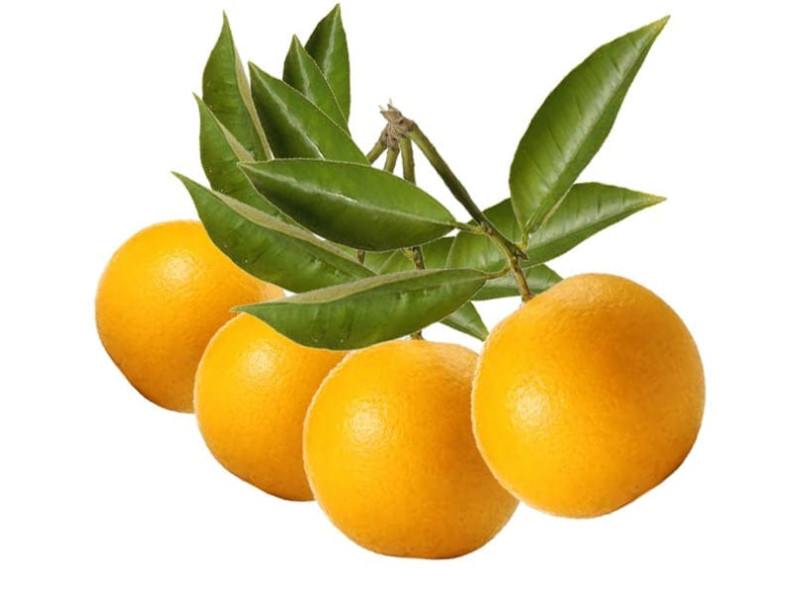 Rosveda Essential Oil Bergamot