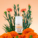 Acorelle Certified Organic Deodorant Roll-on Floral Softness - Βιολογικό Αποσμητικό Roll-on Μακράς Διάρκειας, με άρωμα λουλουδιών, 50ml