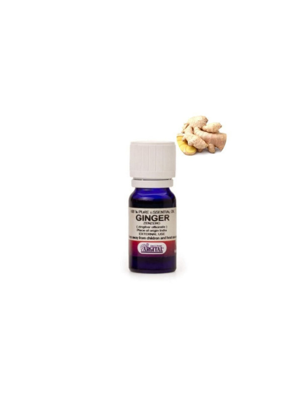 ARGITAL Essential Oil Ginger – Φυσικό Θερμαντικό Αιθέριο Έλαιο Τζίντζερ για Τόνωση & Ευεξία, 10 ml