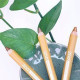 Zao Jumbo Eye Pencils– Βιολογικά, JUMBO, Μολύβια Ματιών