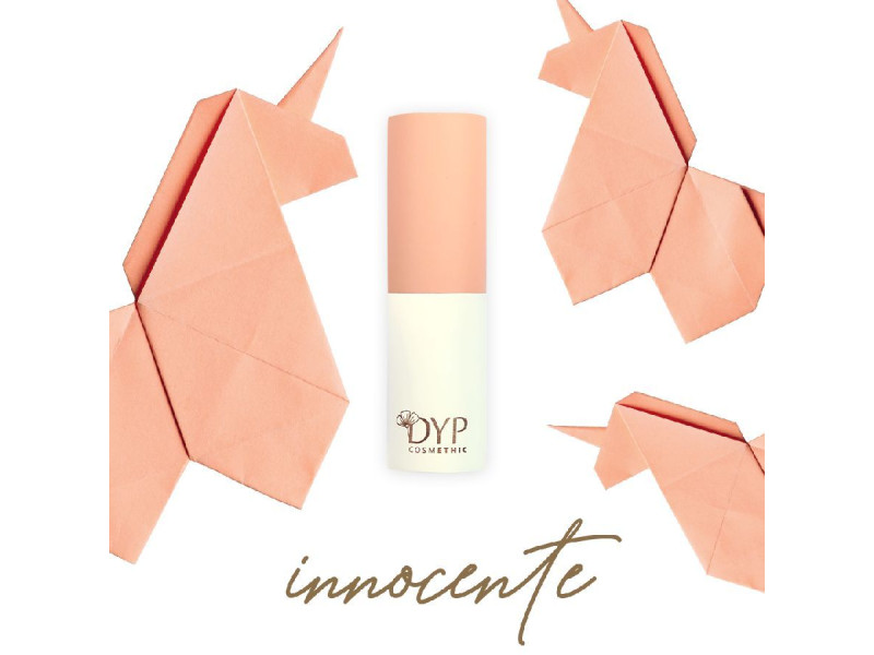 DYP Cosmethic Empty Stick Case