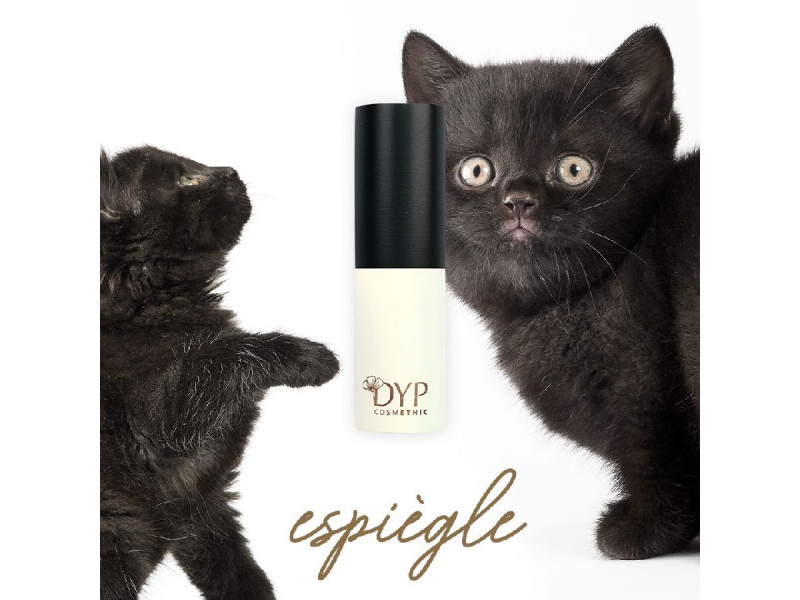 DYP Cosmethic Empty Stick Case