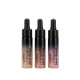 puroBIO Highlighter Resplendent Liquid Stardust