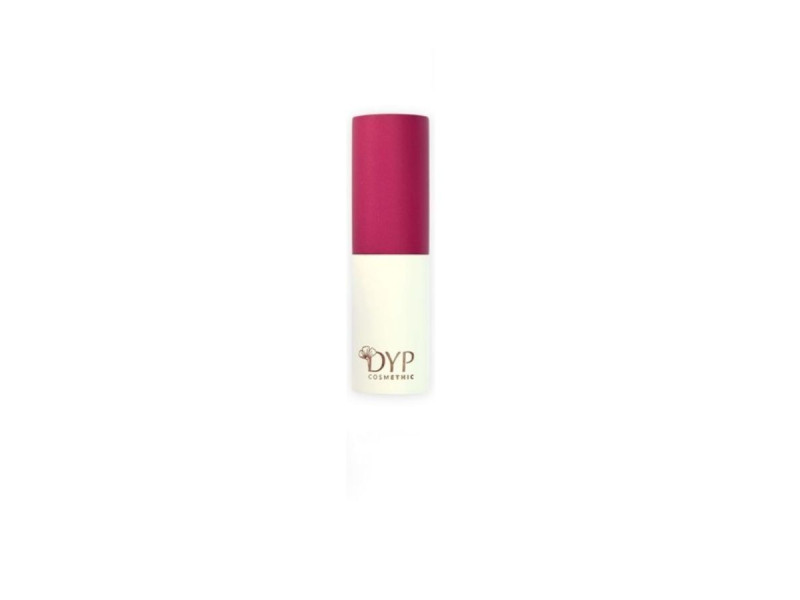 DYP Cosmethic Empty Stick Case